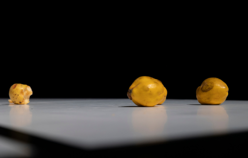 Photo de coings dans le spectacle KATA d'Anna Chirescu par Vinciane Lebrun Voyez-Vous