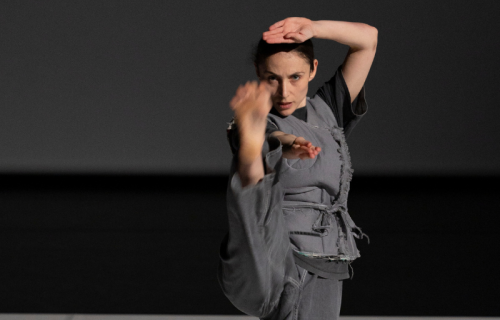 Portrait d'Anna Chirescu dans son spectacle KATA par Vinciane Lebrun Voyez-Vous