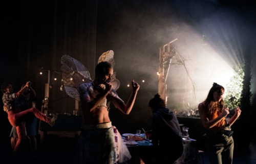 Photo du spectacle Lisière avec la fée